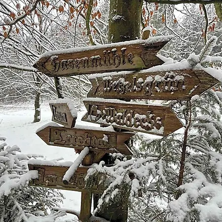 Landgasthof & Waldeck Отель Treuen
